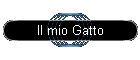 Il mio Gatto