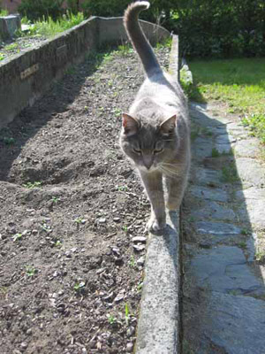 Mimmo 02