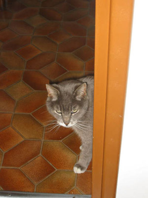 Mimmo 11