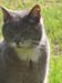 Mimmo 05