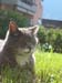 Mimmo 07